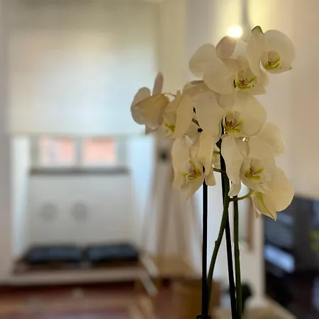 Ferienwohnung Il Vicoletto Marino Exterior foto
