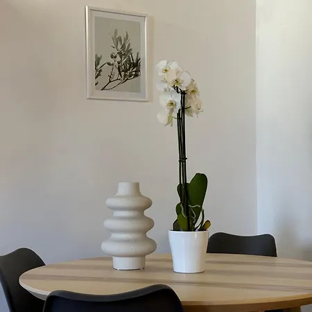 Ferienwohnung Il Vicoletto Marino Exterior foto